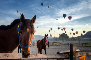 at1