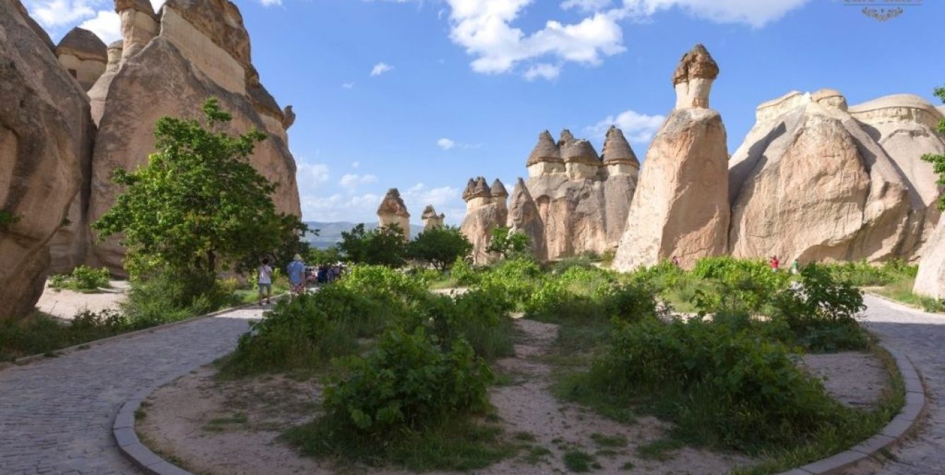 kapadokya paşabağı