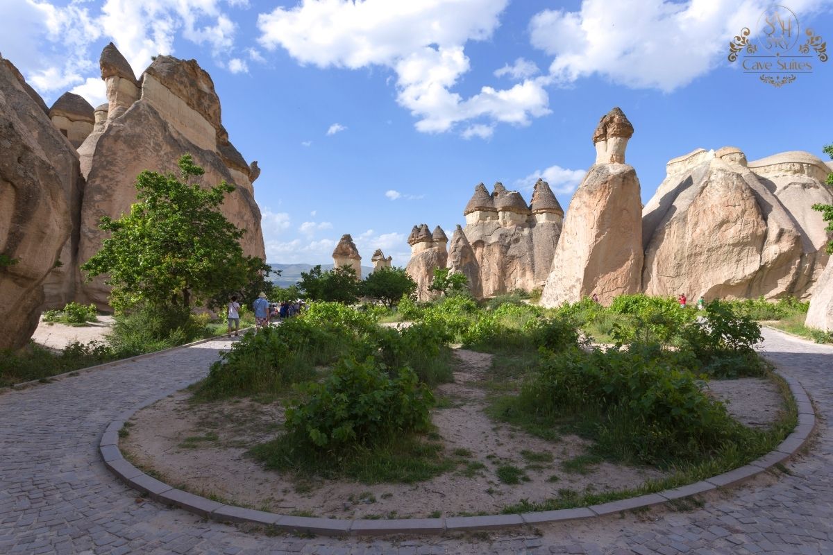 kapadokya paşabağı