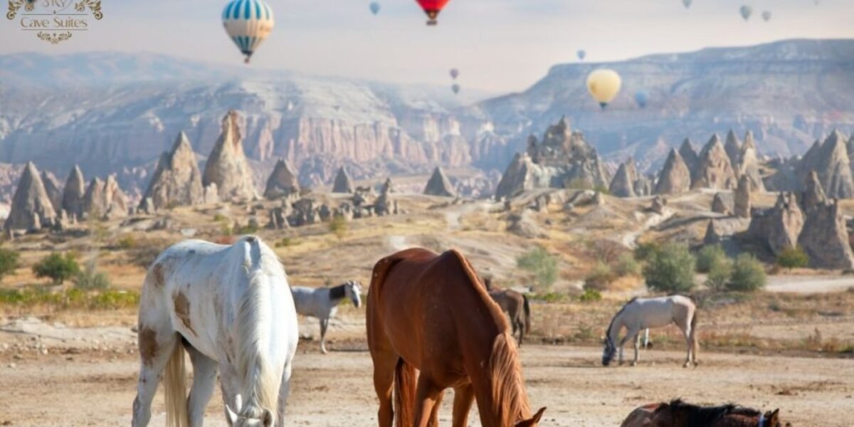Kapadokya' ya turla gitmek