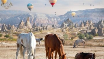 Kapadokya' ya turla gitmek