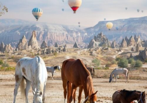 Kapadokya' ya turla gitmek