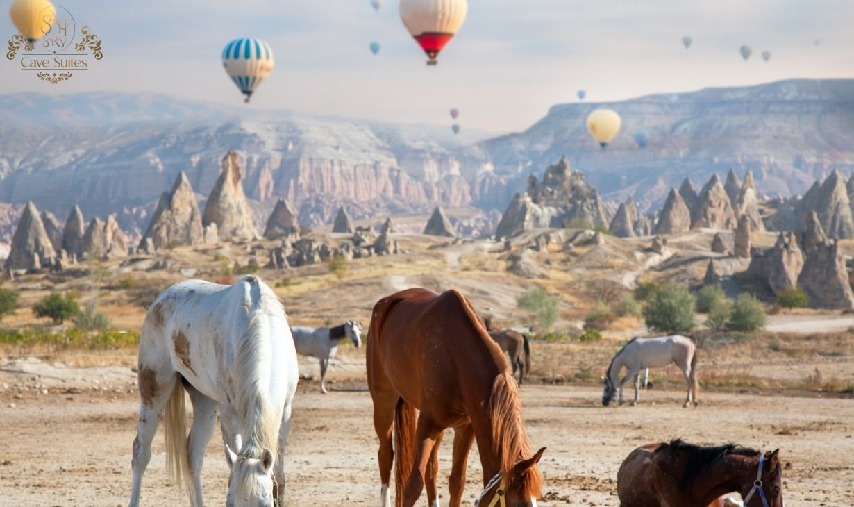 Kapadokya' ya turla gitmek