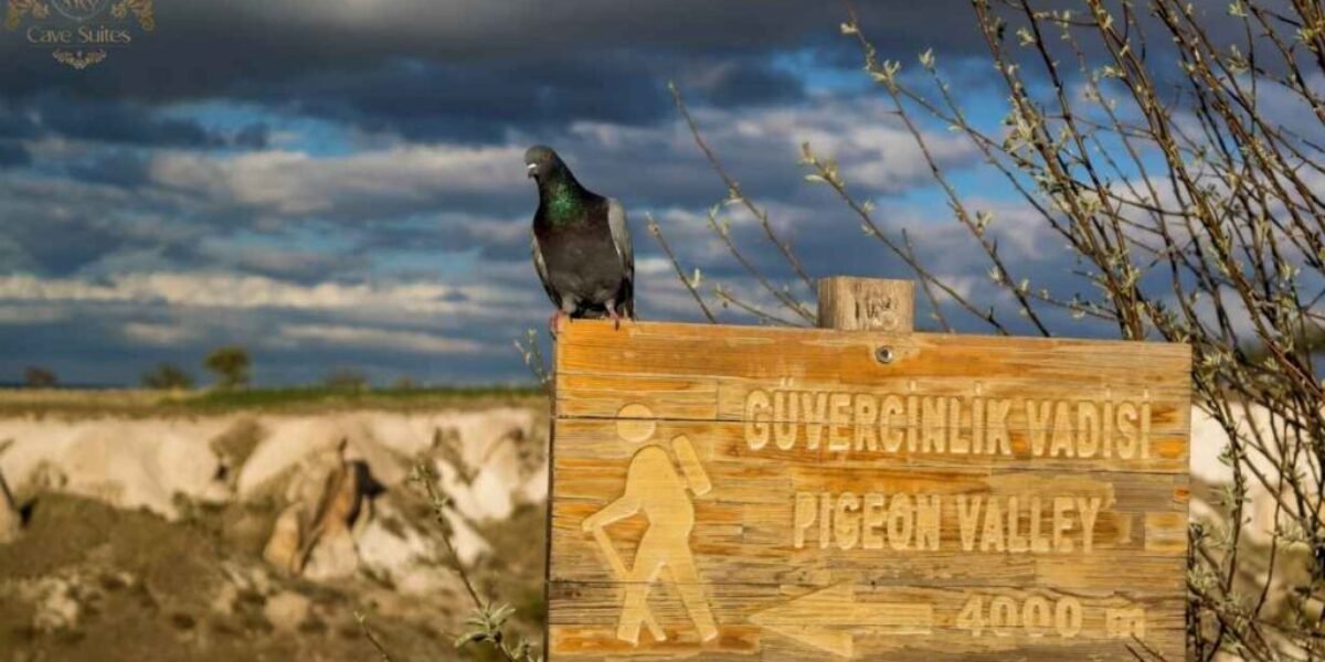 kapadokya güvercinlik vadisi