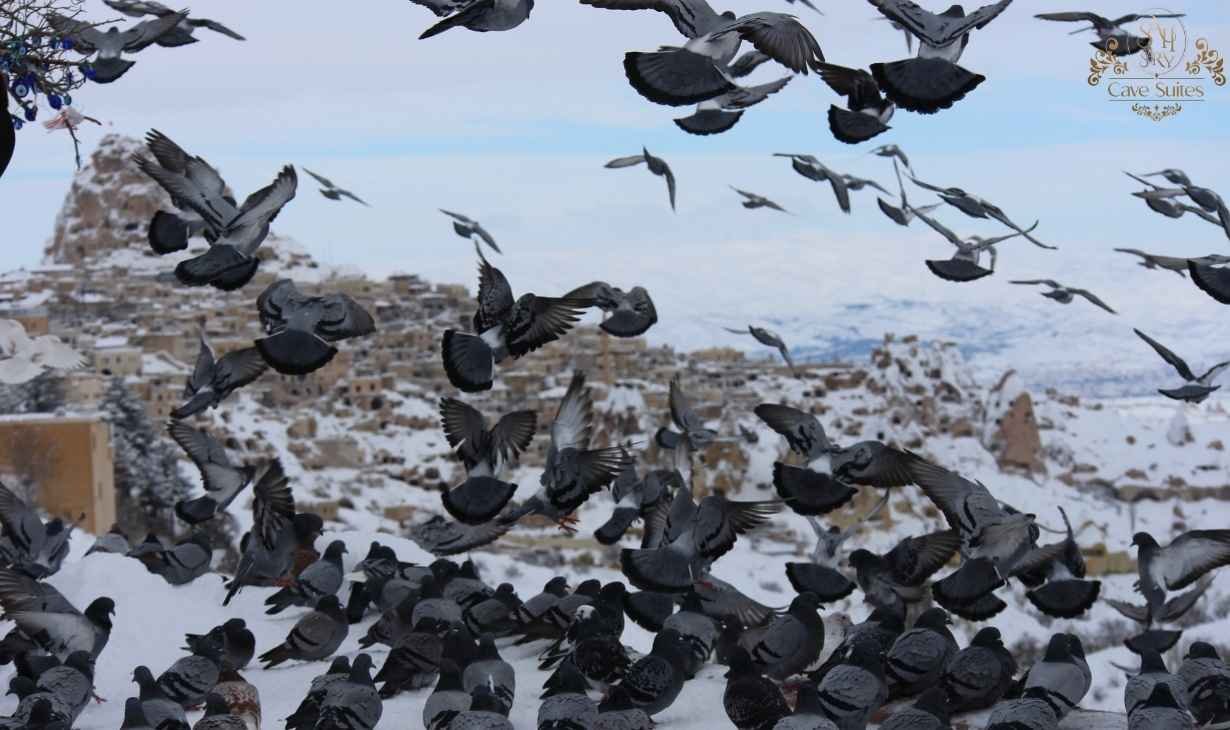 nevşehir güvercinlik vadisi