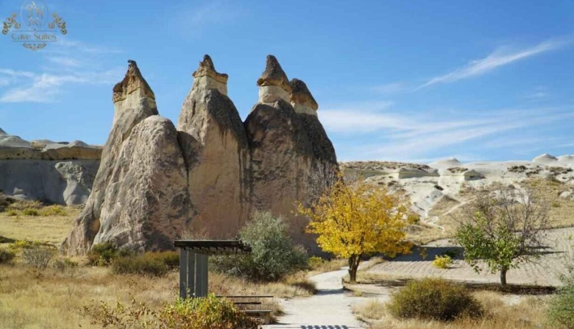 paşabağ vadisi kapadokya